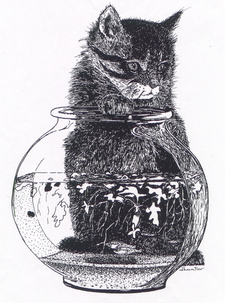Kitten and Fish Bowl   Dorothy dhunter Adams
