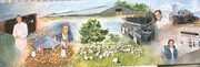 1960 Cold Springs Farm Historical Mural   SOLD