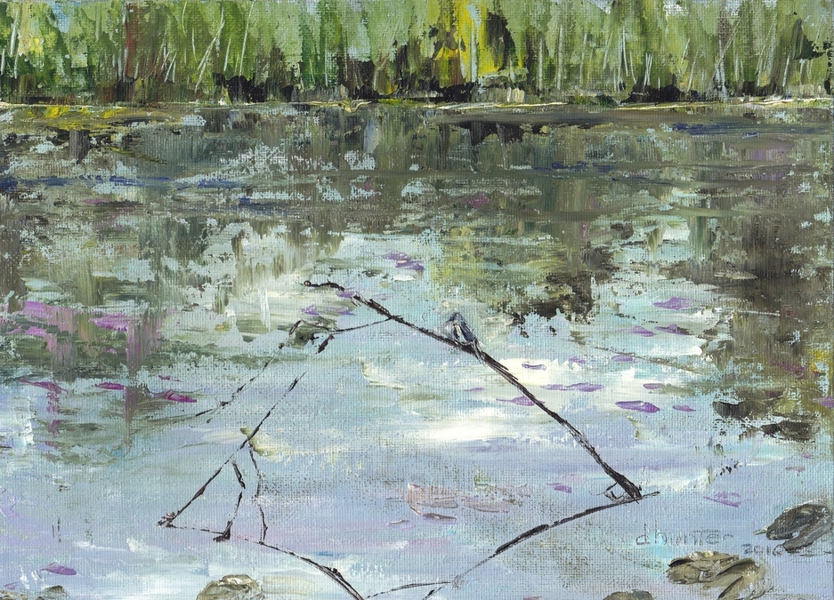 Hanging Out at the Pond   Dorothy dhunter Adams