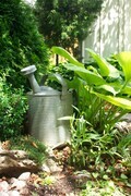 Sanctuary One - Antique Watering Can