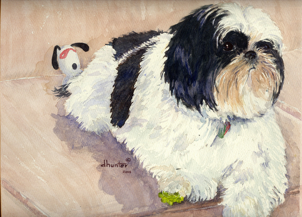 Molly the Shih Tzu   Dorothy dhunter Adams  SOLD