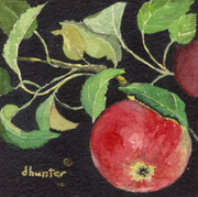 Wild Apples I   Dorothy dhunter Adams   SOLD