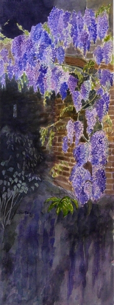wisteria at dusk   dorothy dhunter adams
