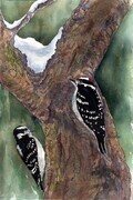 2016 Woodpecker Pair - Downy & Hairy - Dorothy dhunter Adams